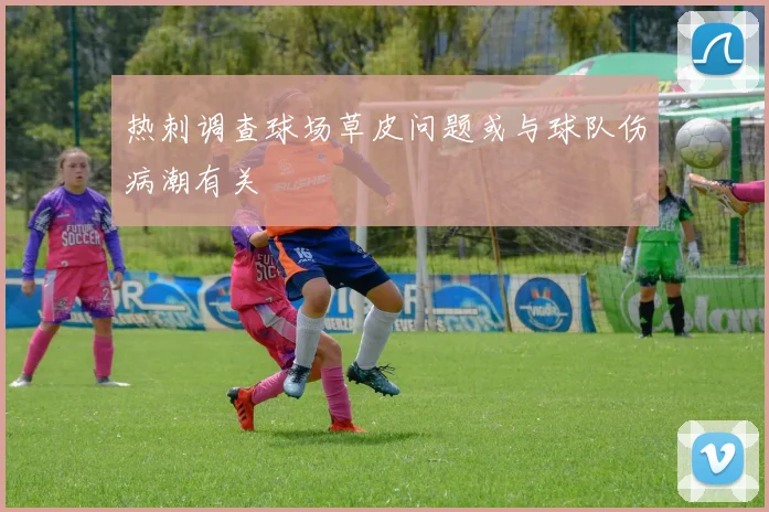 热刺调查球场草皮问题或与球队伤病潮有关