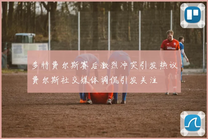 多特费尔斯赛后激烈冲突引发热议费尔斯社交媒体调侃引发关注