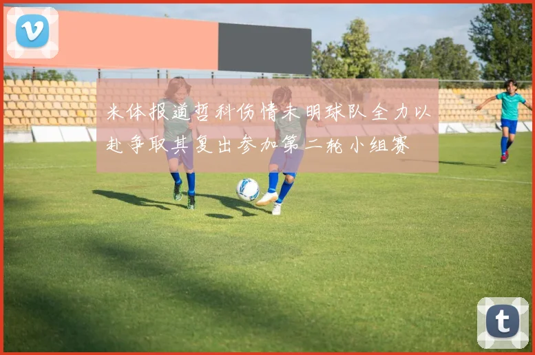 米体报道哲科伤情未明球队全力以赴争取其复出参加第二轮小组赛